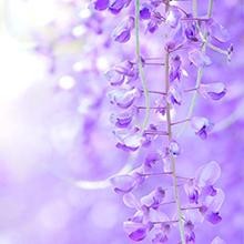 40 Pack Artificial Wisteria Vine Garland, 3.75 Feet Silk Strings, Fake Hanging