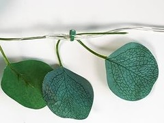 Vines with Lights Battery Operated, 33ft 100 LED Eucalyptus Garland String