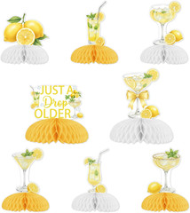 Lemon Martini Birthday Decorations, Just a Drop Older Honeycomb Centerpieces Set