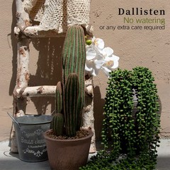 dallisten 6 Pcs Artificial 28 inches (L) x 5 (W) x 5 (H), Green