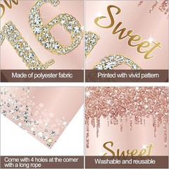 Sweet 16 Birthday Door Banner Backdrop Decorations for Girls, Pink Rose Gold …