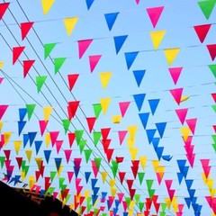 50m Bunting 100 Flags Multi Colour Banner Bunting Party Event Home Garden Decor