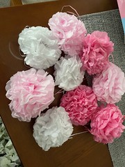 Baby Shower Decorations + (Sweet as a Peach theme)