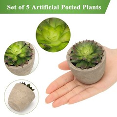 Coitak Artificial Succulent 2.75 inches (height) x 2.5 (width), Green