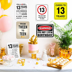 13th Birthday Party Decorations Caution Wall Signs Door Window Yard 9 Pcs