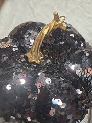 Black Velvet Lace Sequin Pumpkins 5ft Spider Web Lights Party Gothic Decor