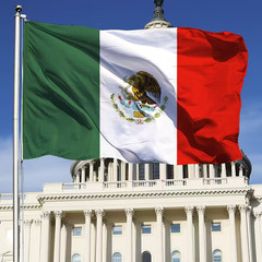 2 PACK 🇲🇽 Mexico Flag 150x90cm & 10M Bunting Bandera de México Entrega rápida