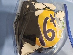 16th birthday banner, «Happy 16th Lap Around the Sun,» Excellent Condition