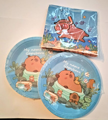 Capybara Birthday Tableware Decorations, 10pack plates, 20pack napkins Animal