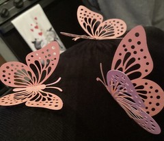 3D Butterflies Cutouts For Parties, Decorations For Weddings, Cakes, Walls, Yard