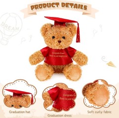 3 Pcs 2026 Graduation Gift Set Include Graduation Plush Bears Inspirational C…