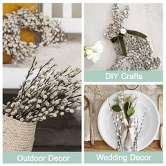45 Stems 16＂Real Dried Pussy Willow Branches for Vase，100% Natural White