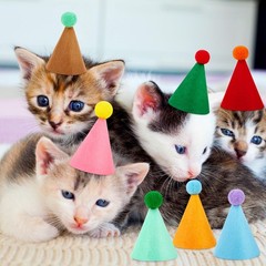 10 Pcs Mini Birthday Party Hats Multicolor Mini, Colorful Non-woven Fabric