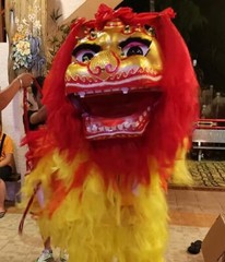 Chinese Dancing Lion | Two Person Lion Dance Costume – complete