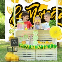 Lemonade Backdrop Banner Decor White – Lemon Party Theme Decorations for Lemo…