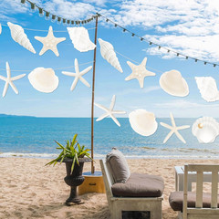 3Pcs Paper Beach Seashell Party Banners Ocean Party Decorations Natural Seashell