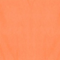 Tissue Orange 8 Count