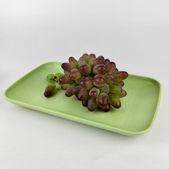 WANGSHIQI Wheat Straw Plates,4 Pack Rectangular Dinner L, multicolour