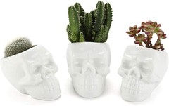 5x Gothic Human Skull Flower Pot Home Garden Succulent Plant Halloween Planter
