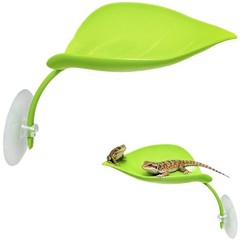 Leaf Shaped Turtle Basking Platforms 3PCS with Suction Cups for Reptile Tanks