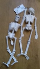2 SKELETONS White Jointed Hanging Plastic 36x12x5.5cm New Funky Fun Decoration
