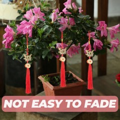 4PCS Chinese Style Tassel Dragon Pendant Dragon Lucky Pendant for Hanging