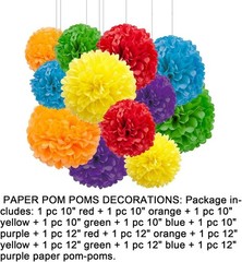 12pcs Rainbow Pom Poms Decorations for Party Ceiling Wall Hanging Tissue Flow…