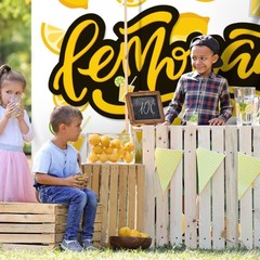 Lemonade Backdrop Banner Decor White – Lemon Party Theme Decorations for Lemo…