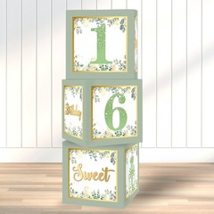 Sweet 16 Party Decorations Boxes – 3Pcs Sage Green and Gold 16th Decorations …