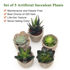 Coitak Artificial Succulent 2.75 inches (height) x 2.5 (width), Green