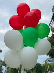 100 Pcs 12-Inch Latex Balloons in Red, Green, and White – Perfect for Christm…
