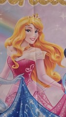 RARE HTF Authentic Classic Disney Princess Rainbow Birthday Photo Backdrop