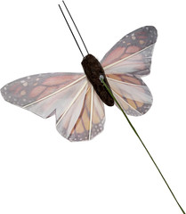 -Feather Fake Butterfly for Craft Decoration Set of 12 with Wire B B