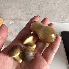 18X Simulation Mushroom Model Photography Props, Sand Table Decorations Random