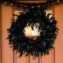 Natural Feathers Wreath 13.75″ In Black For Halloween Decorations, Spooky Scen