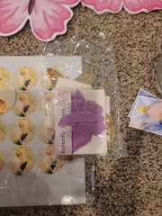 Tinkerbell Party Decor Used