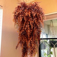 6pcs Artificial Hanging Fall 7.8 inches x x 32 inches, Orange