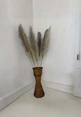 Real Pure White Dried Natural Pampas Grass Reed and Jumbo Reed