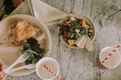 100% Compostable Disposable Paper Plates Bulk [10″ 3-Comp 50 Pack], Bamboo Pl…
