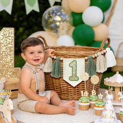 Wild One 1st Green White Highchair Banner Handmade Wood Bead Tassel Garland Birt