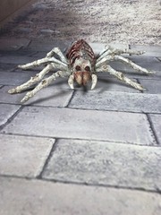 Creepy Horror Doll Skeleton Spider Albino Re Painted Halloween