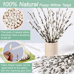 45 Stems 16＂Real Dried Pussy Willow Branches for Vase，100% Natural White