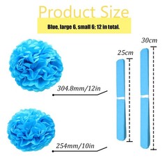 12 PCS Tissue Paper Pompoms Hanging Flowers Ball ZH/Sky Blue 10/12 Inch