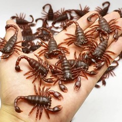 Fake Plastic Cockroaches,Scorpion Halloween Prank Rubber Bugs Joke Toys GagProps