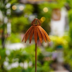 Bronze Rusted Echinacea Garden Stake Metal Art for Lawn and Flower Beds