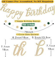 Sage Green Happy Birthday Decorations for Women, Pre-Strung Happy Birthday Banne
