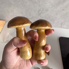 18X Simulation Mushroom Model Photography Props, Sand Table Decorations Random