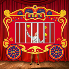Circus Party Decorations Carnival Cage Shaped Photo Backdrop Circus Photo Boo…