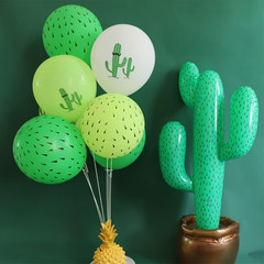 Cactus Party Decorations Fiesta Cactus Birthday Party Supplies Cactus Happy Birt