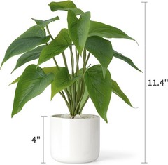 Mkono Fake Plants in Ceramic Pot, 11″ Potted Artificial for Home White